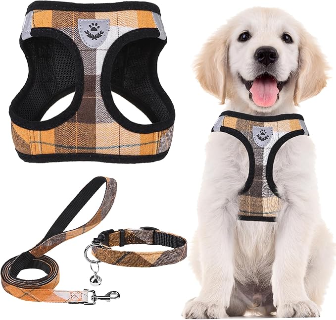 PUPTECK Adjustable Dog Harness Collar and Leash Set Step in No Pull Pet Harness for Small Medium Dogs Puppy and Cats Outdoor Walking Running, Soft Mesh Padded Reflective Vest Harnesses, Orange XXS