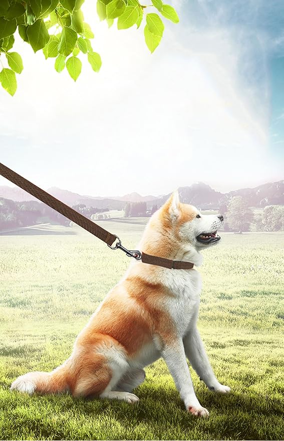 PETGOGO 15ft 20ft 30ft 40ft 50ft Long Dog/Puppy Lead Obedience Recall Training Dog Leashes for Small Medium Dogs Camping, Training, Play, or Backyard (20 FT, Brown)