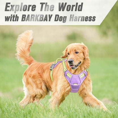 BARKBAY No Pull Dog Harness Front Clip Heavy Duty Reflective Easy Control Handle for Large Dog Walking(Violet Purple & Sunlight,M)