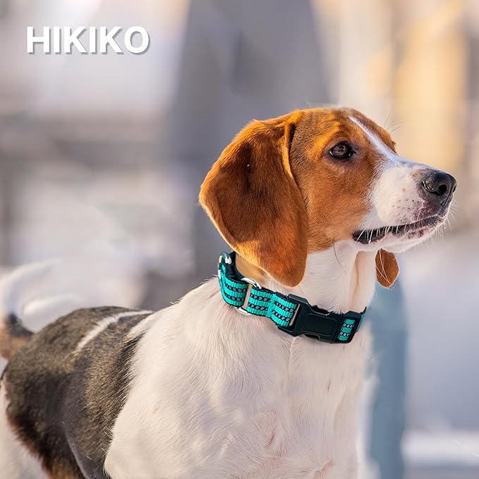 Hikiko Martingale Dog Collars Reflective Nylon Dog Collar with Quick Release Buckle Adjustable Training No Slip Dog Collar (Small, Turquoise)
