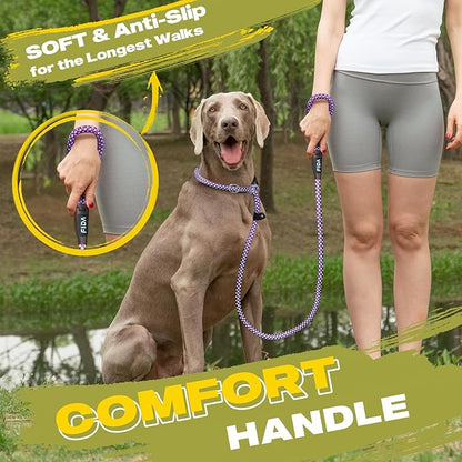 Fida Durable Slip Lead Dog Leash Bulk Pack of 5, Heavy Duty 1/2" x 6 FT Comfortable Strong Rope Slip Lead for Large, Medium Dogs No Pull Pet Training Leash with Highly Reflective, Purple