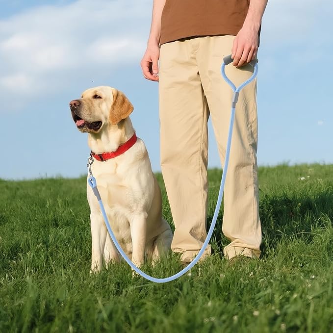Mile High Life Dog Leash, with Comfortable Padded Handle, Blue Nylon Rope Leash with Steel Tips, Heavy Duty 4 Feet Pet Leashes (Blue,48 Inches)