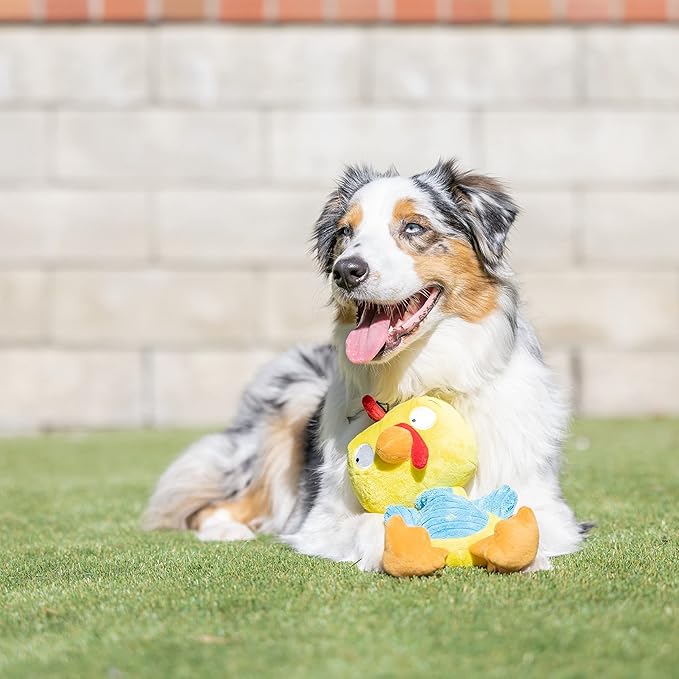 Huxley & Kent Slappies for Dogs | Squeak & Shake Dog Toy | No Stuff Tummy with Squeaky TPR Ball in Head | Simulates Hunting Nature for Dogs (Kernal, Small)
