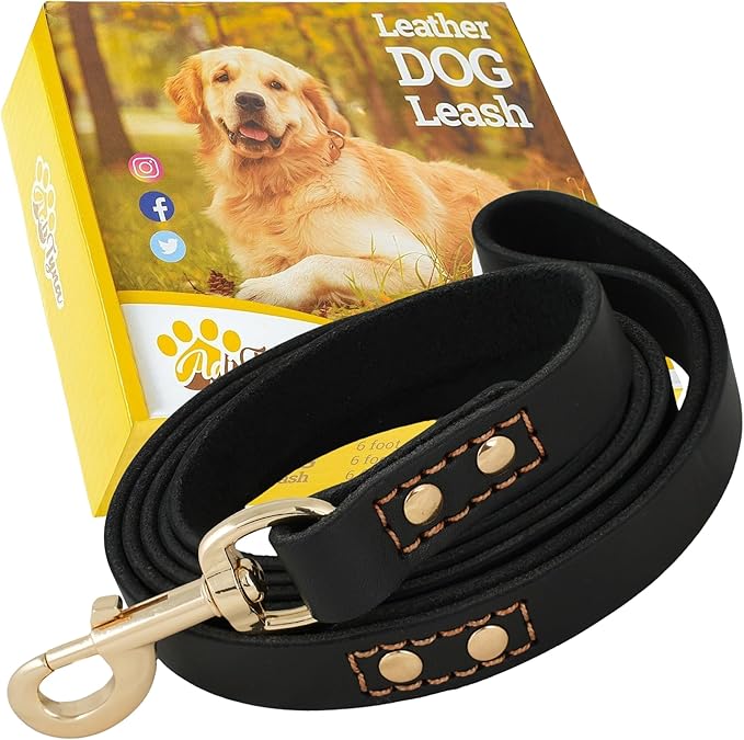 Leather Dog Leash 6 ft x 3/4 inch - Soft, Strong, Heavy Duty for Large & Medium Breeds - Dog Lead for Training (Black - Gold Colored Clasp, L - 6 ft x 3/4 inch)