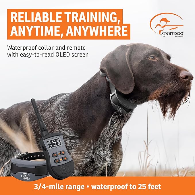 SportDOG Brand SportTrainer 1275 Remote Trainer - Bright, Easy to Read OLED Screen - 3/4 Mile Range - Waterproof, Rechargeable Dog Training Collar with Tone, Vibration, and Static, Black