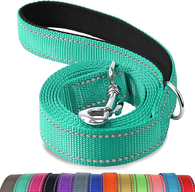 Joytale Double-Sided Reflective Dog Leash, 6 FT/5 FT/4 FT, Padded Handle Nylon Heavy Duty Leashes for Small & Medium Dogs Walking, Teal, 6FT