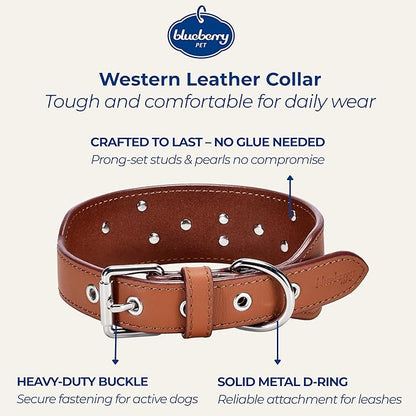 Blueberry Pet Genuine Leather Dog Collar - Western-Inspired Brown Leather Dog Collar for Large Dogs with Floral Embroidery & Turquoise Studs, 18-22 Inch Adjustable & Durable for City Pet Owners