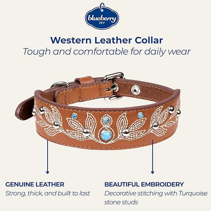 Blueberry Pet Western Dog Collar in Canyon Brown - 12-15 Inch Necks Floral-Embroidered Leather with Turquoise Studs, Dog Collars for Small Dogs, Adjustable Leather Girl Dog Collar