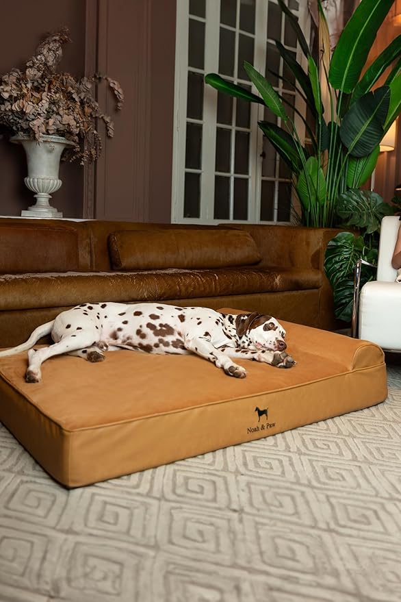 NOAH & PAW XL Dog Bed, 45x35x9.1 Inch, Orthopedic Large Dog Beds, Eggshell Memory Foam Infused with Cooling Gel, Waterproof, Machine Washable, Includes Inner Cover (Faux Leather)