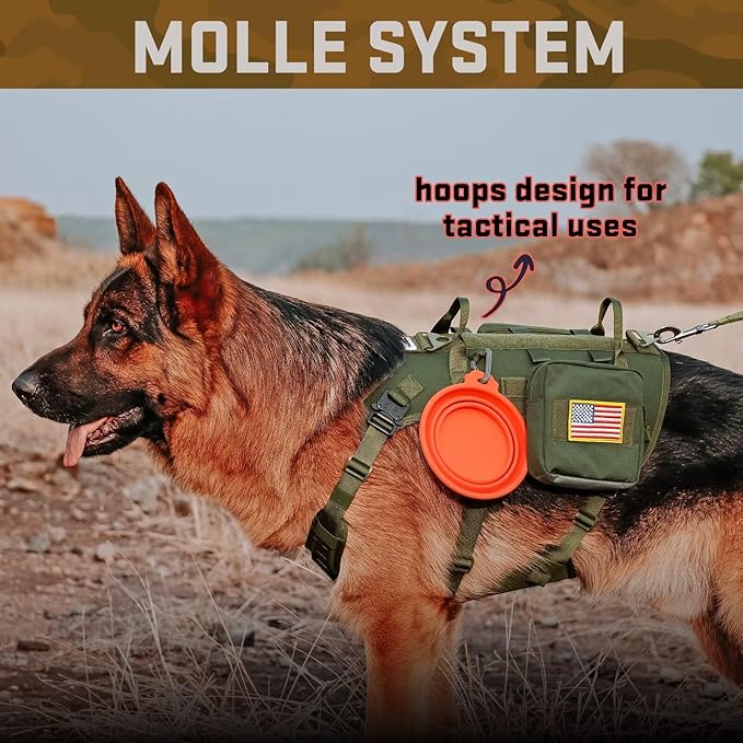 Forestpaw Tactical Dog Harness for Large Dogs,Tactical Dog Collar with Bungee Leash Set,No Pull Military Dog Harness for Walking Training,Adjustable for Medium Large Dogs,Green,Chest 21.5-45"
