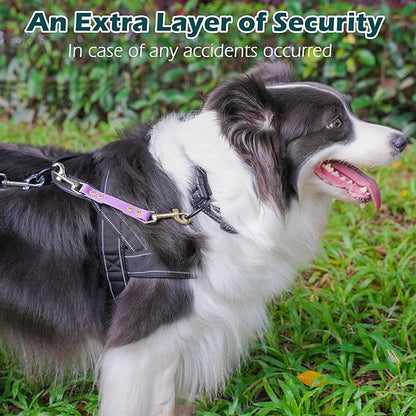 PetBonus Dog Collar Safety Clip, Waterproof Backup Safety Strap for Dog Harness to Prong Collar, Odor Proof Double Ended Clasp Leash Connector for Training Walking (Purple)