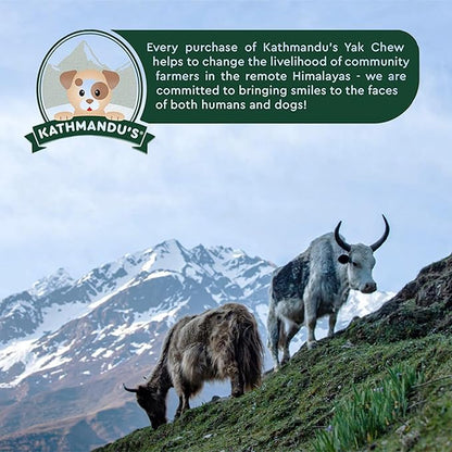 Authentic Himalayan Yak Cheese for Dogs - Medium (Pack of 3) - Sourced from Pristine Himalayan Foothill, Rawhide-Free, NO preservatives
