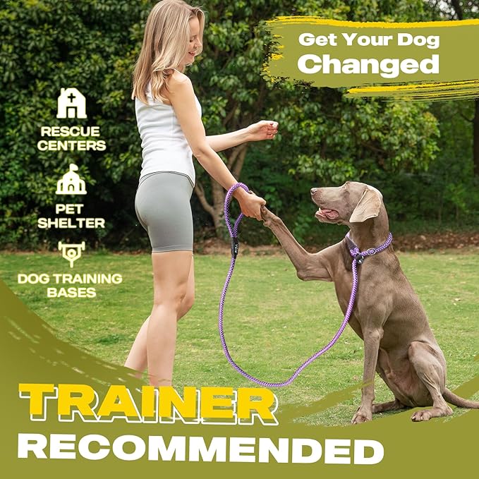 Fida Durable Slip Lead Dog Leash Bulk Pack of 5, Heavy Duty 1/2" x 6 FT Comfortable Strong Rope Slip Lead for Large, Medium Dogs No Pull Pet Training Leash with Highly Reflective, Purple