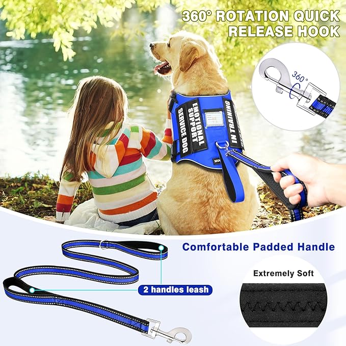 Service Dog Vest Harness and Leash Set+10 Patches,No Pull&Easy Walk Reflective Dog Harness with Soft Padded Handle for Training/Everyday,Fit Small/Medium/Large/Extra-Large Dogs (Blue S)