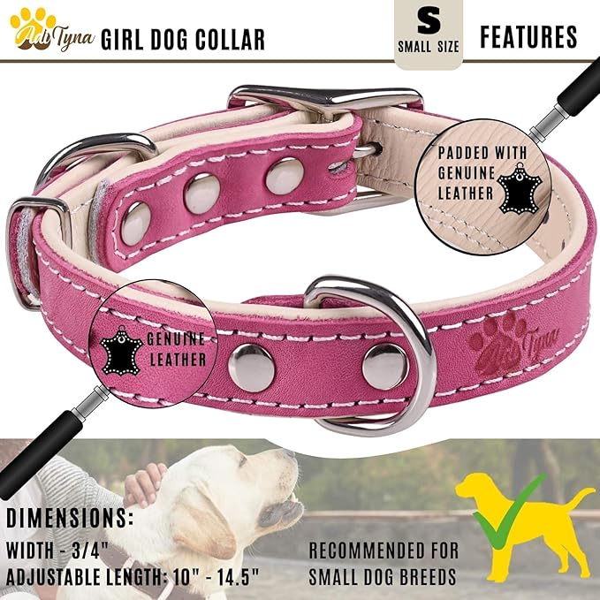ADITYNA Heavy-Duty Pink Leather Dog Collar for Small Dogs - Soft Padded for Comfort - Girl Dog Collar for Walking, Training, and Hiking