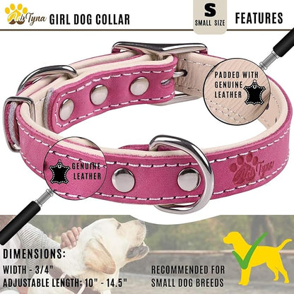 ADITYNA Heavy-Duty Pink Leather Dog Collar for Small Dogs - Soft Padded for Comfort - Girl Dog Collar for Walking, Training, and Hiking