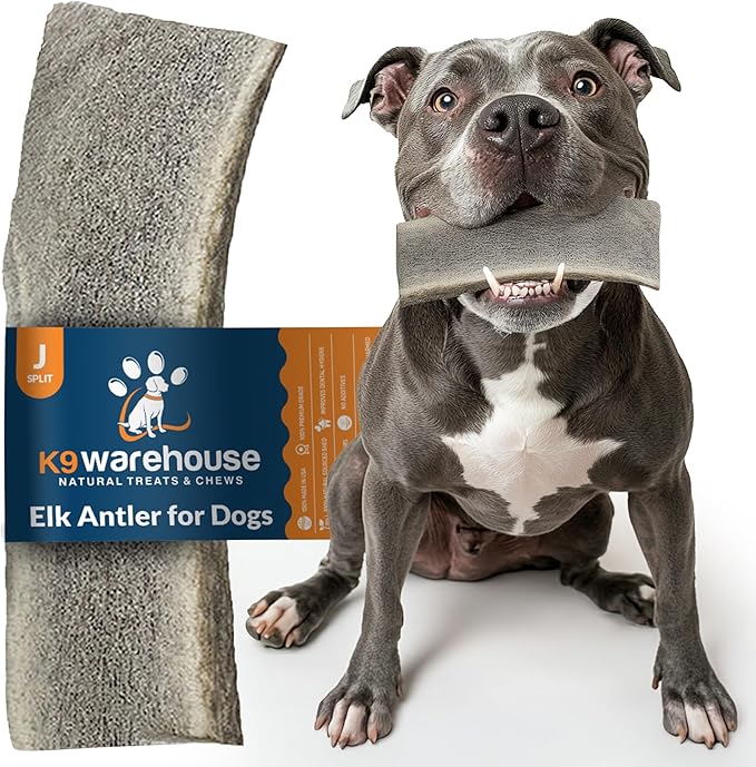 K9warehouse Natural Split Elk Antlers for Dogs - Premium Grade Dog Antler Chews - Long-Lasting Deer Antles Ideal for Aggressive Chewers - Safe USA Sourced Chew for Medium and Large Dogs - 1 Pack
