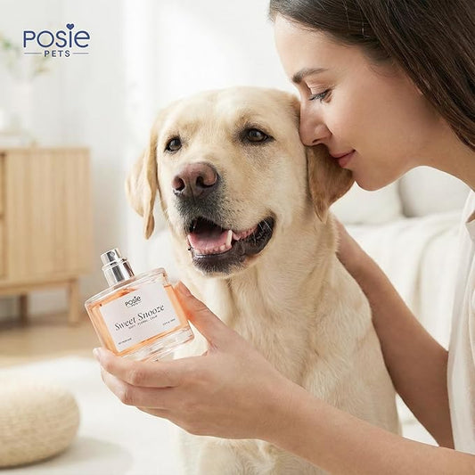 Posie Pets Dog Cologne Spray with Long Lasting Jasmine, Musk, and Vanilla Scent - Vegan Alcohol-Free Pet Deodorizer for Smelly Dogs - Water-Based Luxury Puppy Grooming Fragrance - Sweet Snooze, 100ml