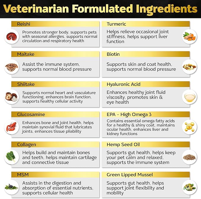 Life4Legs - Hip and Joint Chews for Dogs Plus Skin and Coat Supplement - Dog Joint Pain Relief Treats - Glucosamine, Chondroitin, MSM, Hemp Oil, Turmeric, Omega 3 for Dogs, Mobility Bites Dog Health