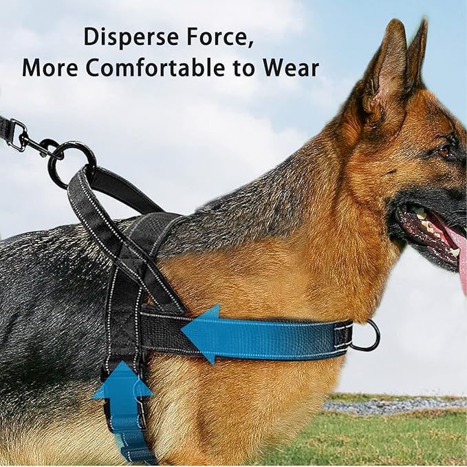 Green No Pull Dog Harness for Small Medium Large Sized Dog, Reflective Escape Proof Adjustable Dog Harnesses with 2 Patch, XL