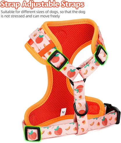 Dog Harness and Leash Set, Adjustable Dog Harness, Dog Leash, No Pull No Choke Puppy Harnesses for Walking Training for Small Medium Pet