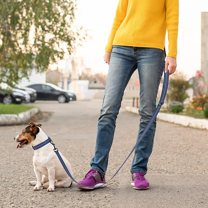 Mile High Life Reflective Dog Collar Leash Set | Adjustable for Small and Medium Dogs (Reflective Stripe Blue, Medium, Pack of 2)