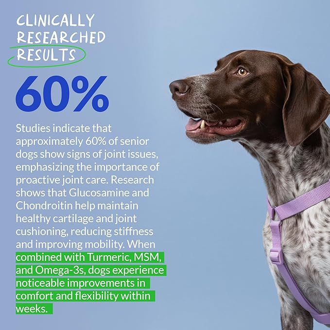 Hip and Joint Supplement for Dogs - with Collagen, Glucosamine for Dogs - Fish Oil - Hip & Joint Support, Ease Inflammation, Antioxidant.