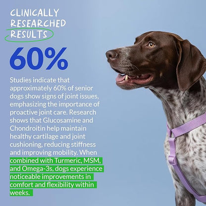 Hip and Joint Supplement for Dogs - with Collagen, Glucosamine for Dogs - Fish Oil - Hip & Joint Support, Ease Inflammation, Antioxidant.