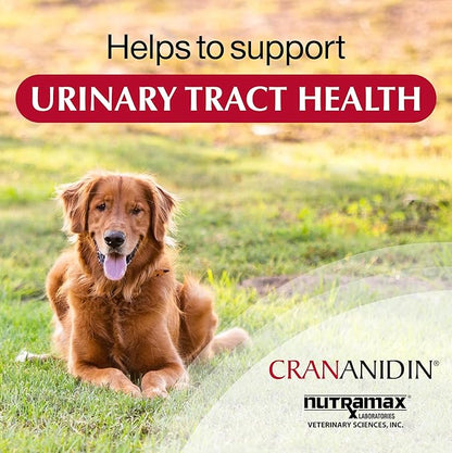 Crananidin Urinary Tract Health Supplement Chewable Tablets for Dogs