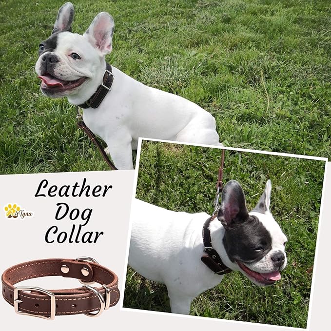 Heavy Duty Leather Dog Collar for Small Dogs - Soft and Strong Dog Collar for Puppy (Small: Fit 10" - 14.5" Neck, Brown)