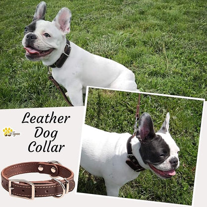 Heavy Duty Leather Dog Collar for Small Dogs - Soft and Strong Dog Collar for Puppy (Small: Fit 10" - 14.5" Neck, Brown)