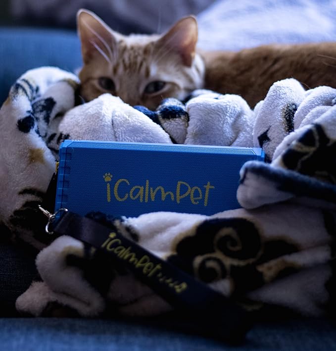 Cool Cat Gold Pak | iCalmPet Ruff 'n Ready Portable Speaker with 3-hr MicroSD Cat Calming Classical