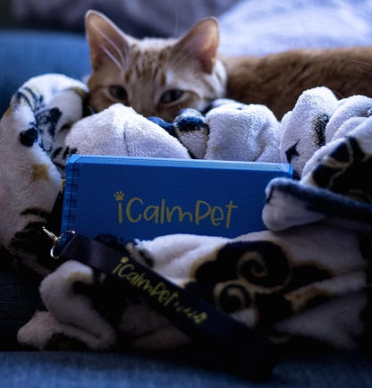 Cool Cat Gold Pak | iCalmPet Ruff 'n Ready Portable Speaker with 3-hr MicroSD Cat Calming Classical
