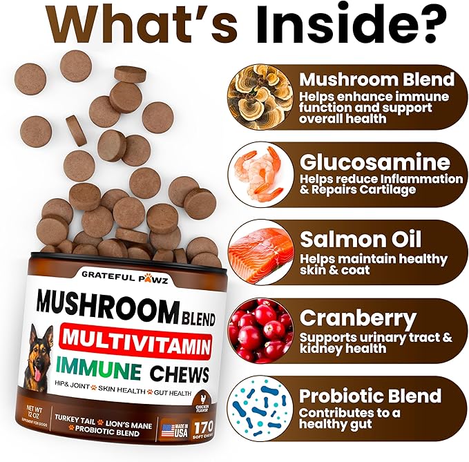 Turkey Tail Mushroom Supplement for Dogs - 170 Chews - Mushrooms for Dogs - Reishi, Lion’s Mane, Glucosamine Multivitamin - Immune Booster, Gut, Hip & Joint Health Support Vitamins, Energy & Skin
