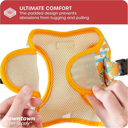 Downtown Pet Supply Step-in Dog Harness – No Pull, Adjustable Padded Mesh with Reflective Trim, Secure Buckle Strap – Comfortable & Breathable Small Dog Harness, XX-Small, Pinneaple