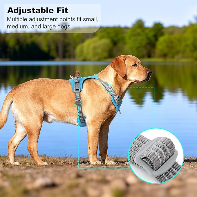 ApakBak No Pull Dog Harness – Adjustable Reflective Nylon Vest for Small Medium Large Dogs, Escape Proof Training Harness with Leather Control Handle, Lightweight Aluminum Hardware (Cyan, M)