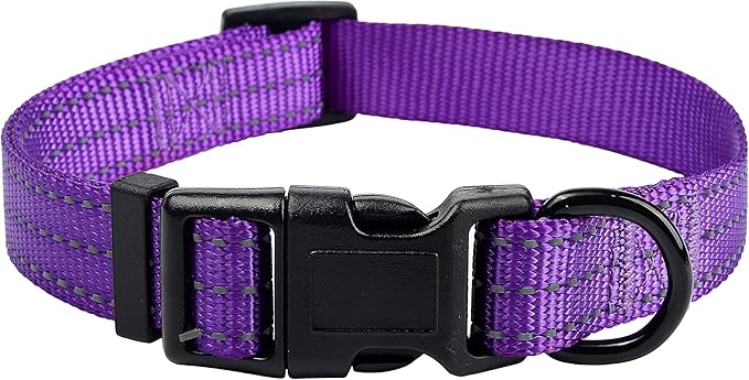 Mile High Life Dog Collar | Nylon Reflective Dog Collars | Light Weight Puppy Collars | Purple Dog Collars for Medium Dogs (Solid Purple, Medium)