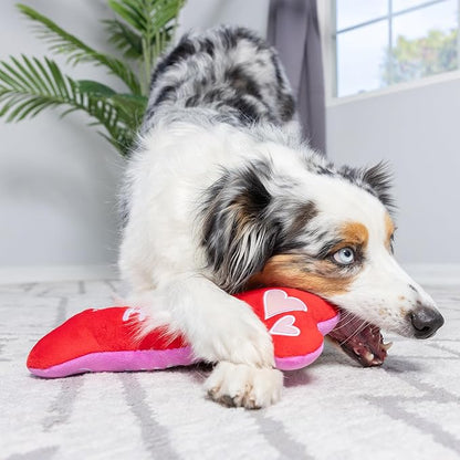 Huxley & Kent Funny Dog Toy w/Squeaker – Power Plush Squeaky Dog Toys for Small, Medium & Large Dogs – Soft Stuffed Animal for Indoor Play & Fetch - Fetchies® Love Bug, One Size