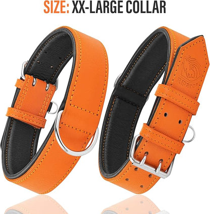 Riparo Orange Leather Dog Collar - Padded Heavy Duty Wide Dog Collar for Small, Medium, Large and Extra Large Dogs with Dog Tag Holder, Large Dog Collars (L: 1.5" Wide for 17"-21" Neck, Orange)