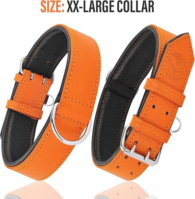 Riparo Leather Dog Collar, Large Dog Collar, Padded Heavy Duty Dog Collar with Dog Tag Holder, Orange Dog Collar (XL, Orange)