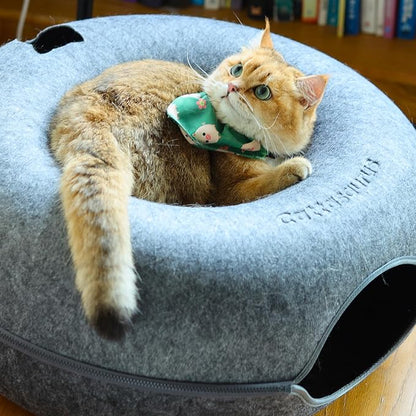 Cattasaurus Peekaboo Cat Cave Donut for Multiple & Large Cats up to 30-45 lbs, 3-in-1 Self Warming Cat Bed, Tunnel & Scratcher for Indoor Cats, Washable & Detachable Small Dog Bed (Light Gray, Jumbo)