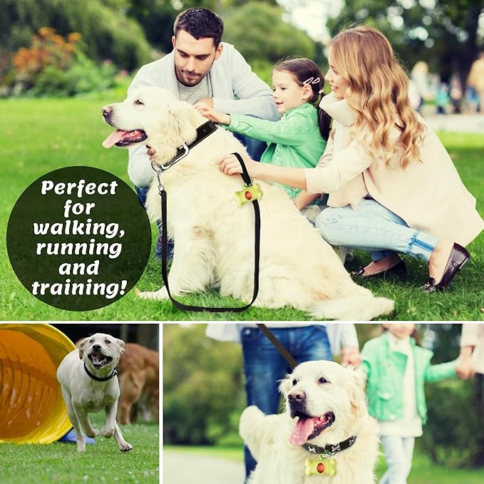 ADITYNA Leather Dog Leash 6 ft x 3/4 inch - Soft, Strong, Heavy Duty for Large & Medium Breeds - Dog Lead for Walking, Training, Hiking and Running (Black)