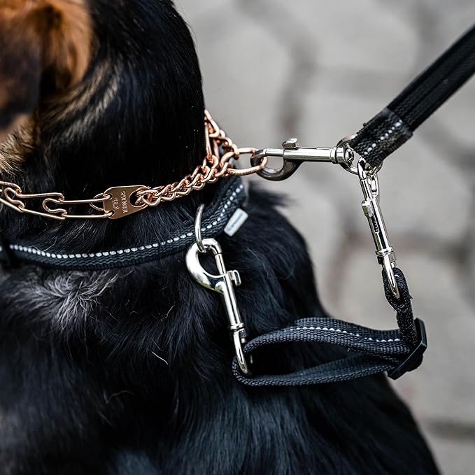 Herm. Sprenger Prong Collar Safety Clip with Reflective Stripes 6"-8" - Pack of 1 Dog Leash Safety Strap - Enhanced Durability for Secure Leash Connection - Ideal for Safe Walk and Training (red)