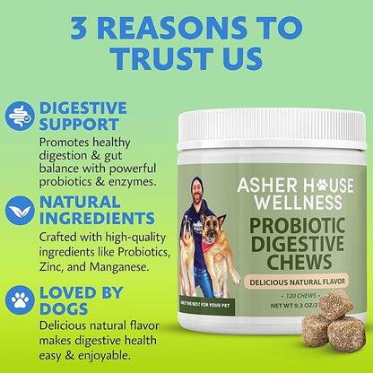 Asher House Wellness Probiotics Digestive Chew for Dogs - Dog Probiotic, Digestive Enzymes for Gut Health & Digestion - Pet Chews for Diarrhea, Upset Stomach, Allergies, Itchy Skin Relief, 120 Chews