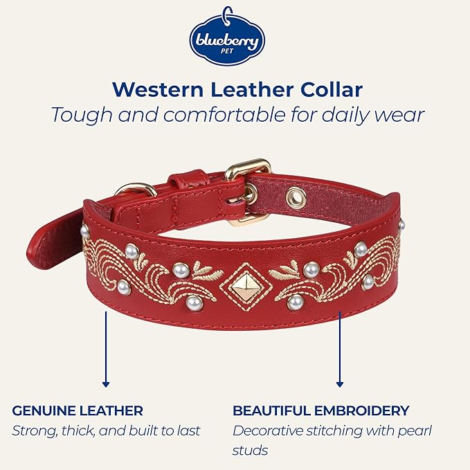 Blueberry Pet Western Leather Dog Collar - Genuine Leather with Floral Embroidery & Pearl Studs Adjustable 12-15 Inch Neck for Small Dogs, Comfortable and Stylish Pet Collar