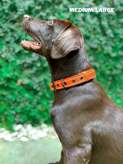 Tuff Pupper Heavy Duty Dog Collar with Handle | Ballistic Nylon Heavy Duty Collar | Padded Reflective Dog Collar with Adjustable Stainless Steel Hardware | Convenient Sizing for All Breeds