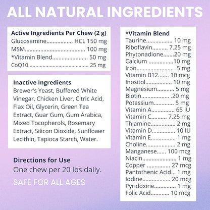 Under the Weather Multivitamin for Dogs | Vet Formulated Daily Canine Health Supplies for Immunity, Skin, Coat & Joint Support | All-in-One Multivitamin for Dogs of All Breeds & Sizes | 60 Count