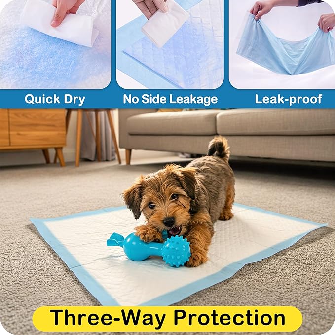 MoMoCo Puppy Pads, 23"x23"-100 Count Dog Pee Pads, Super Absorbent Disposable Dogs Training Pads , Leak-Proof, Quick-Drying Dogs Pads for Doggies Puppies