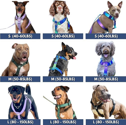 Spark Paws No Pull Dog Harness for Large Dogs, Heavy Duty Dog Harness for Big Strong Breeds, Adjustable, Y Shaped Padded Halter Design with Front Clip - Snow Cone - L
