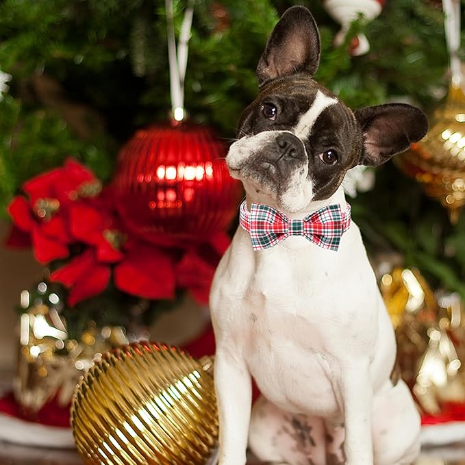 ARING PET Christmas Dog Collar with Bow, Cute Xmas Red Green Plaid Bowtie Pet Collars for Puppy Small Medium Large Girl Boy Dogs-L